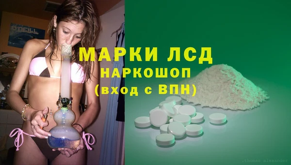 крисы Арсеньев