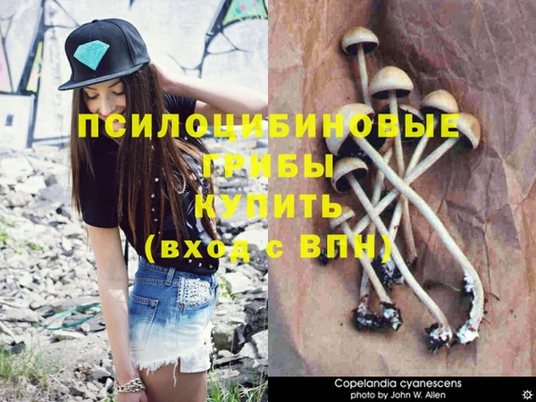 тгк Семилуки